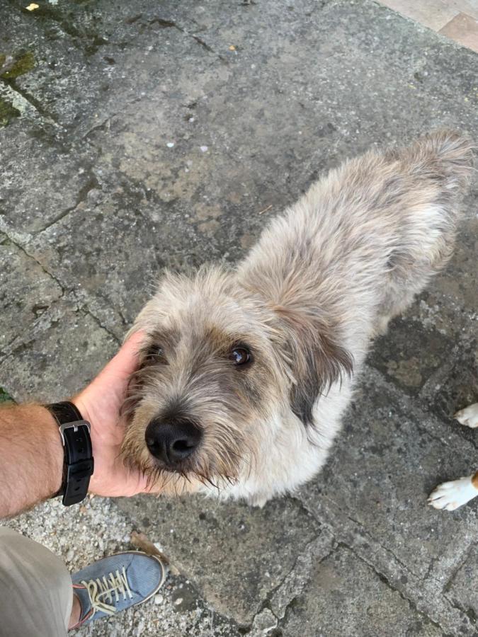 Alloggio Da Fazanca Eremo  Esterno foto