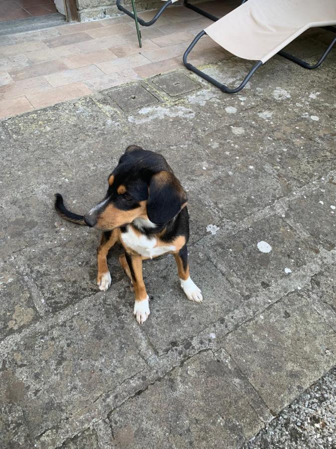 Alloggio Da Fazanca Eremo  Esterno foto